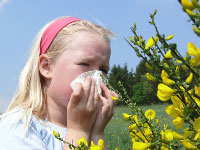 аллергия, пылевая аллергия, профилактика аллергии
